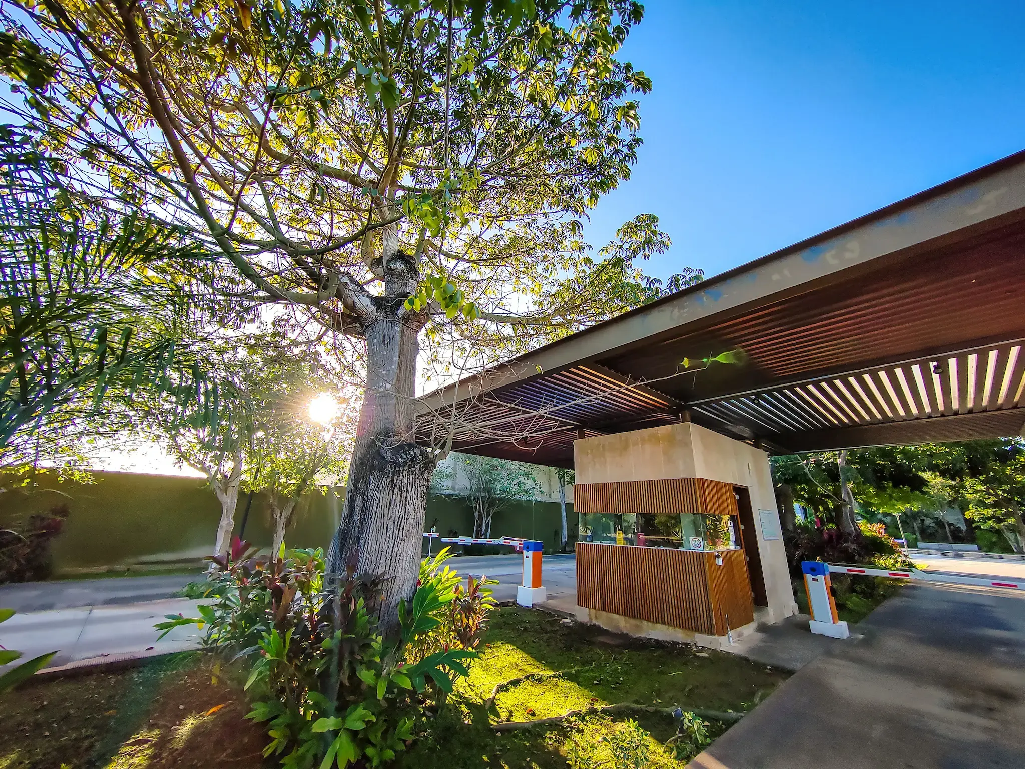 HOME_PALTA_PRINCIPAL