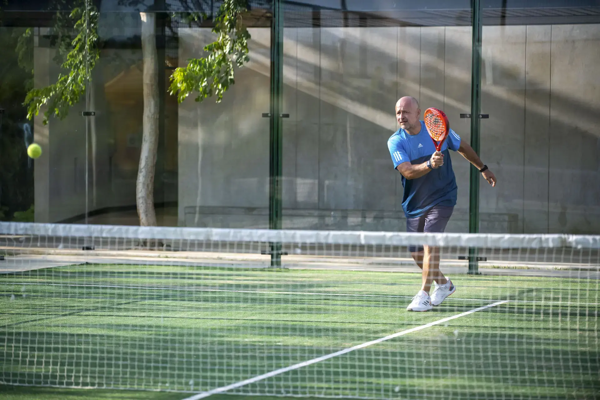 PALTA_SEGURIDADYCONFORT_DERECHO