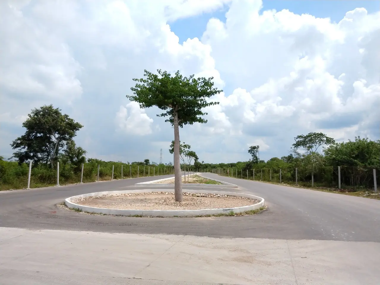 Camellón Periférico 2.08