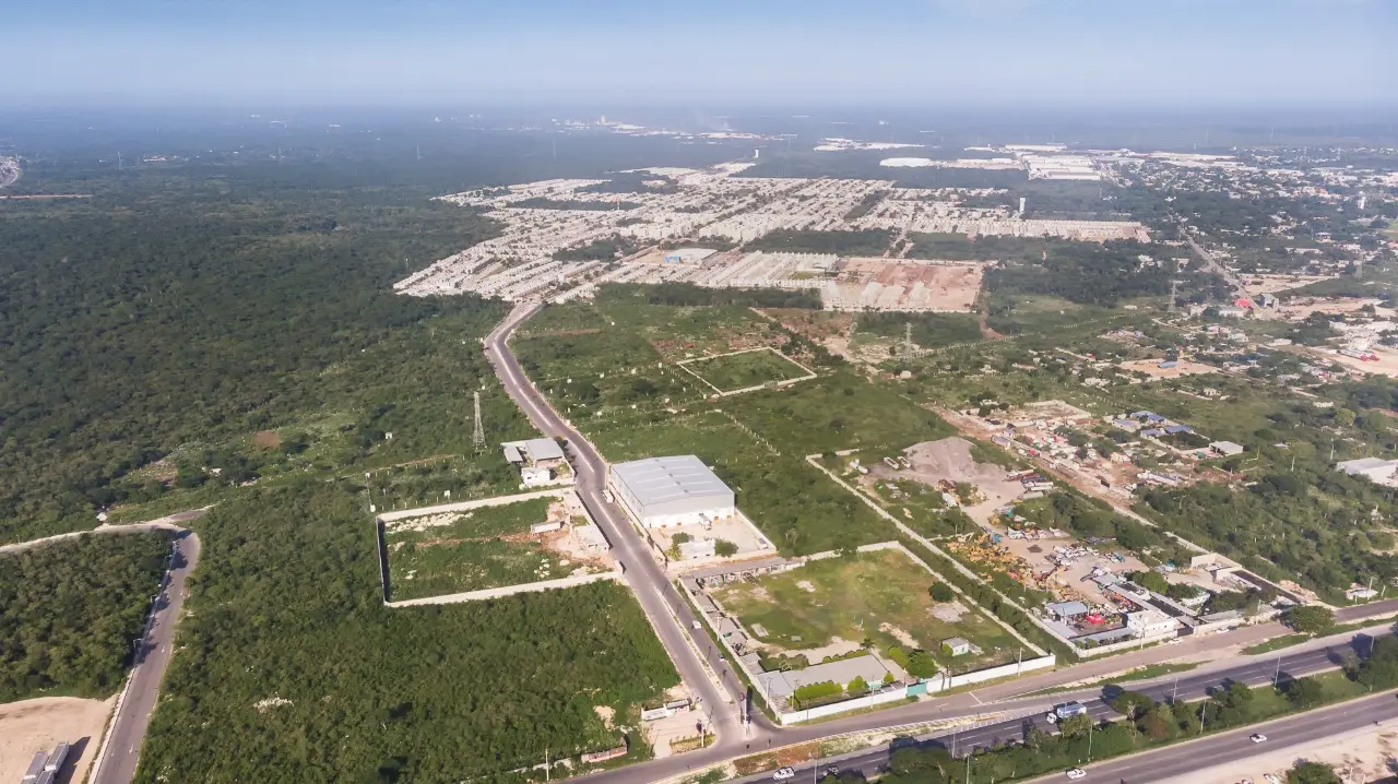 WhatsApp Image 2021-02-26 at 11.44.17-1