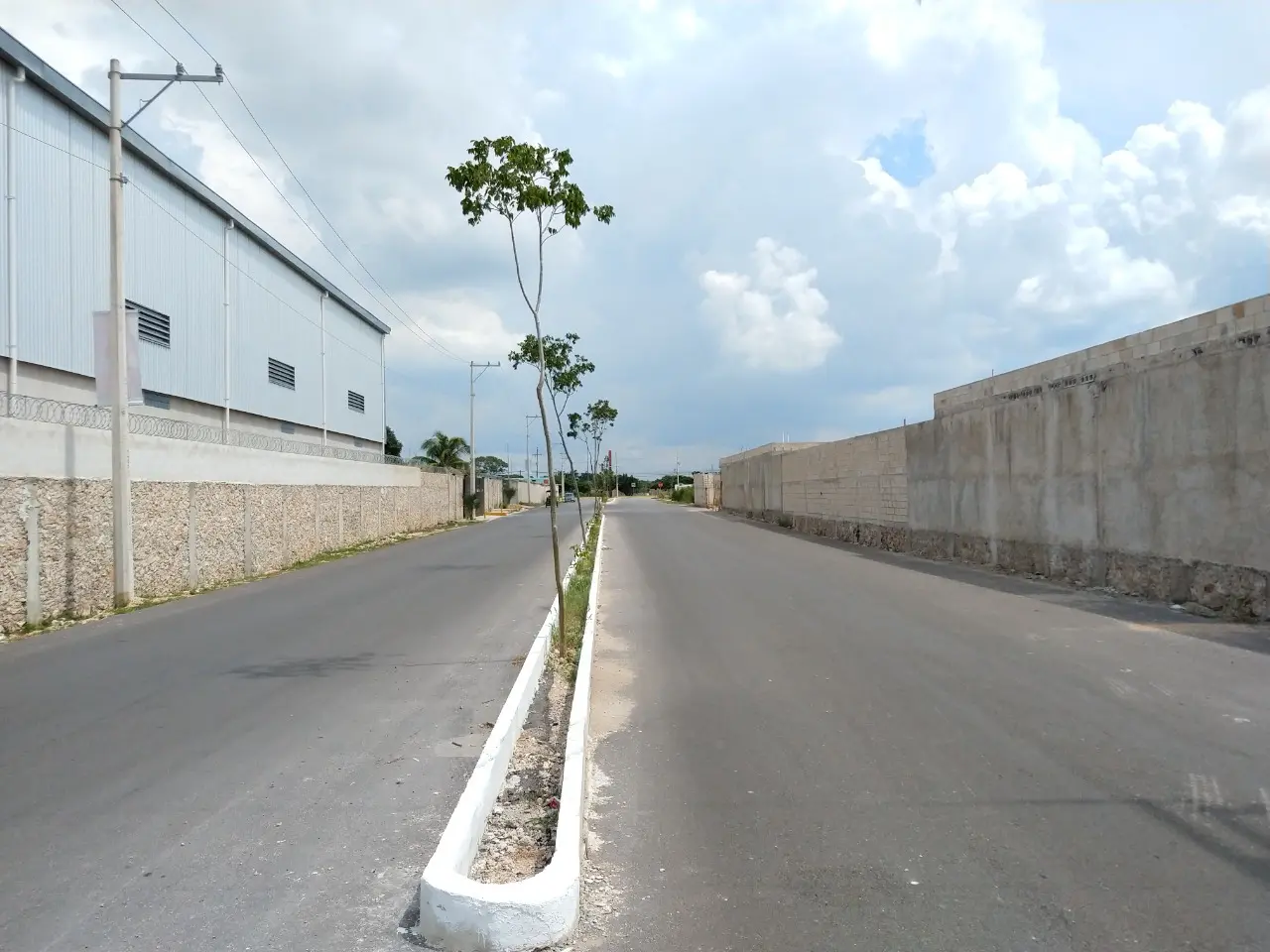 WhatsApp Image 2021-02-26 at 11.48.01 (1)