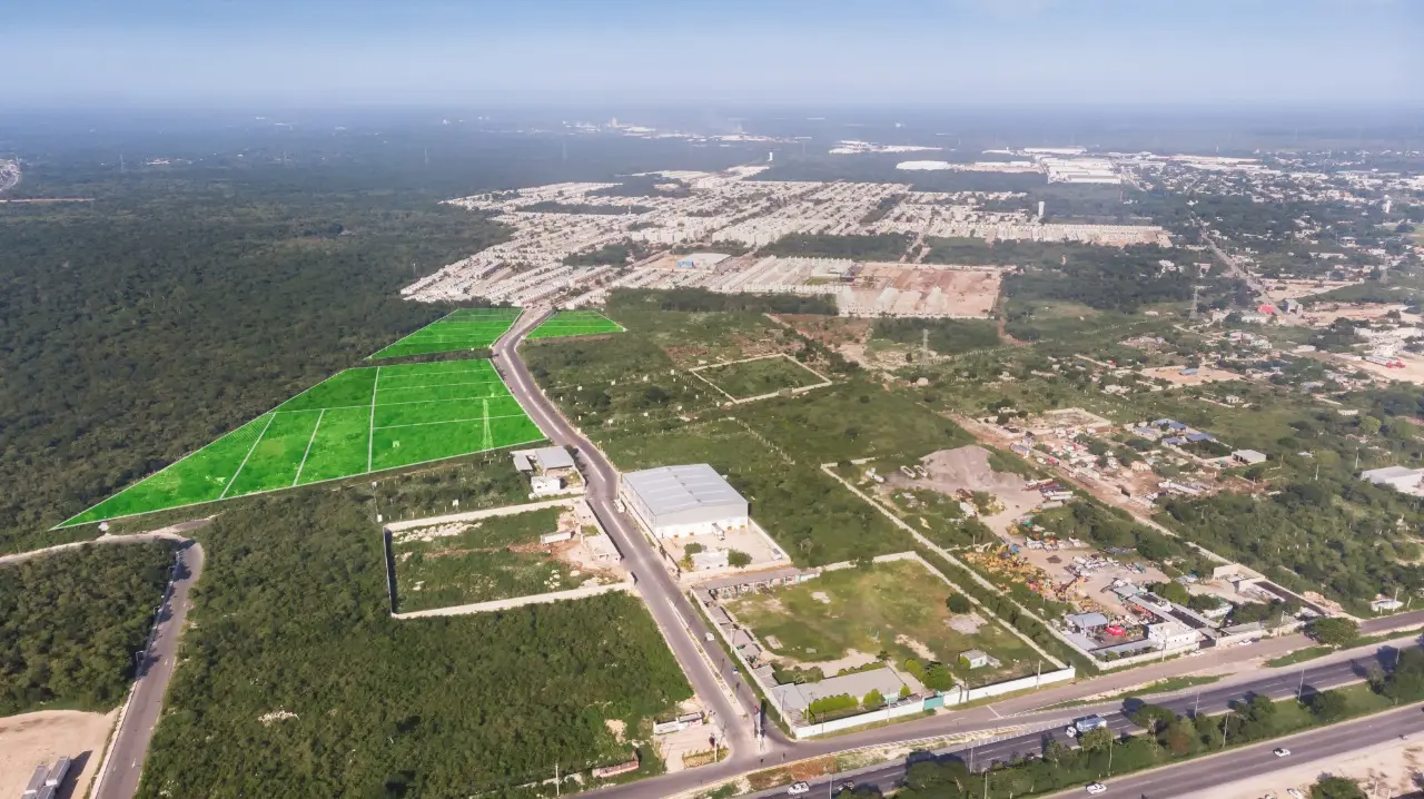 WhatsApp Image 2021-02-26 at 11.48.24 (2)