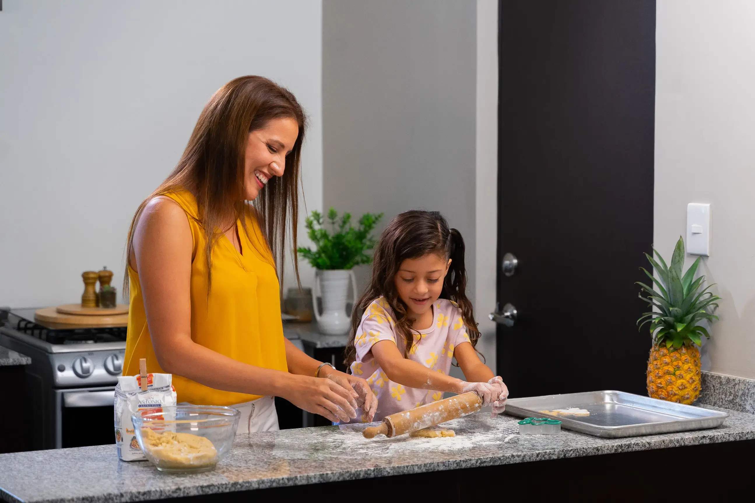 ZENSIA_SEGURIDAD_DER_FAM