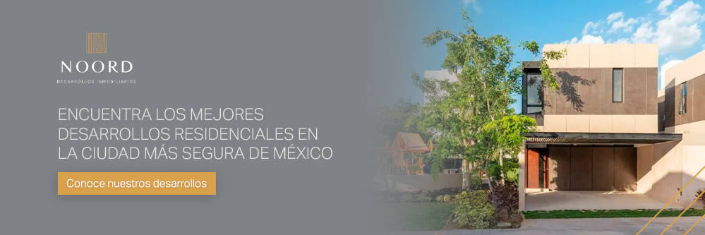 Conoce nuestros desarrollos