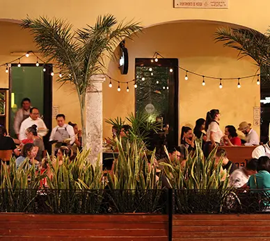 Noord Desarrollos Inmobiliarios