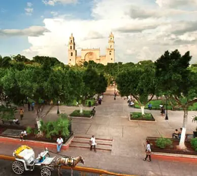 Noord Desarrollos Inmobiliarios