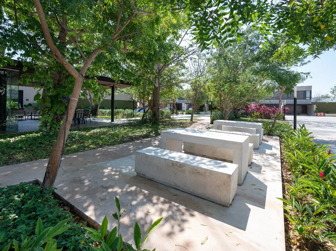 Amenidades Madero 54