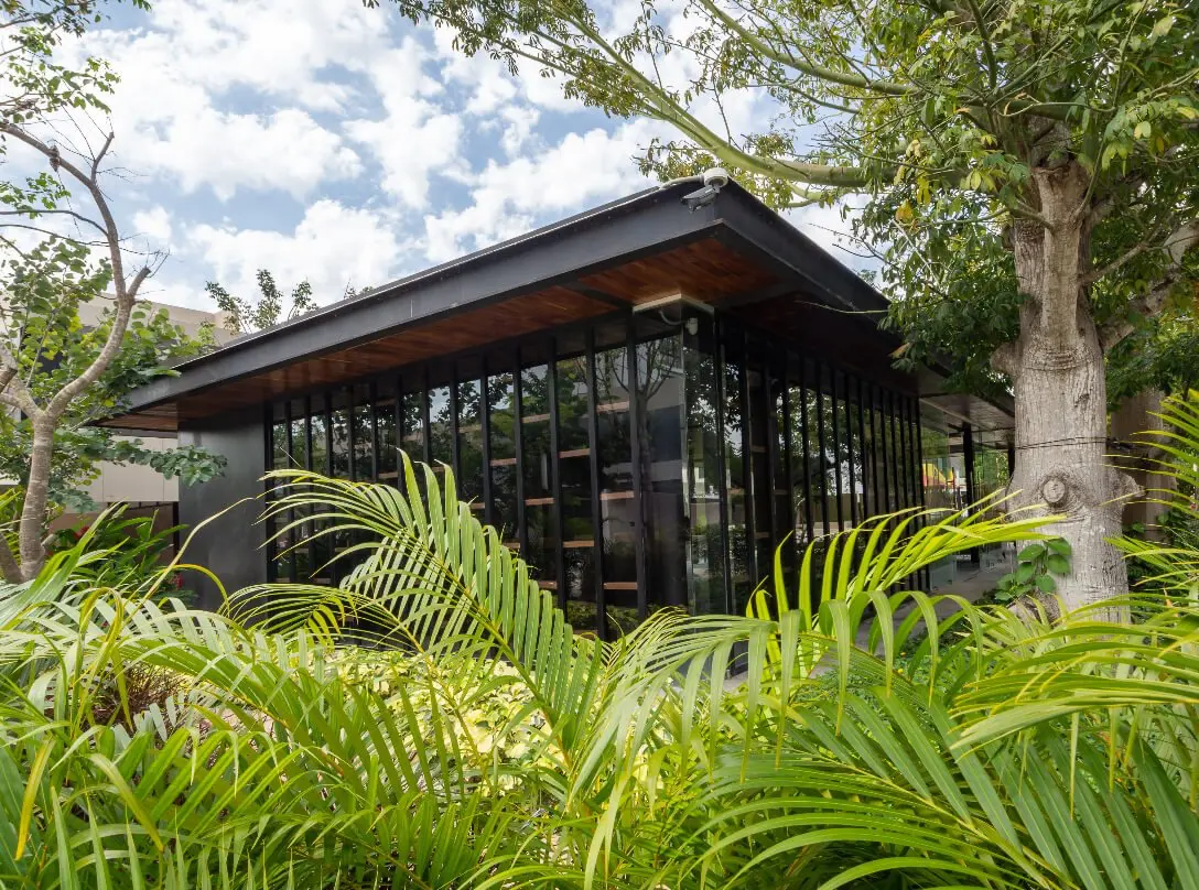 Amenidades Madero 54