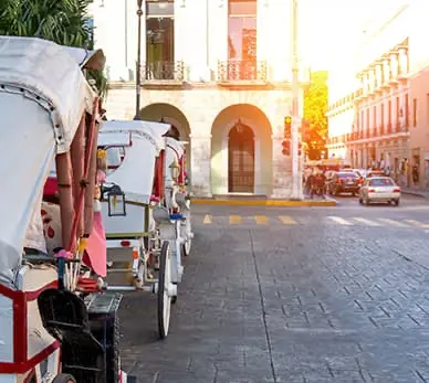 Noord Desarrollos Inmobiliarios