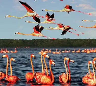 Noord Desarrollos Inmobiliarios