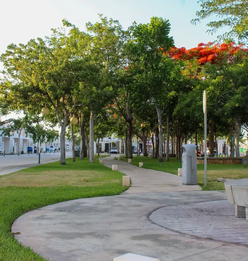 zensia-avance-de-obra-junio-2023-2